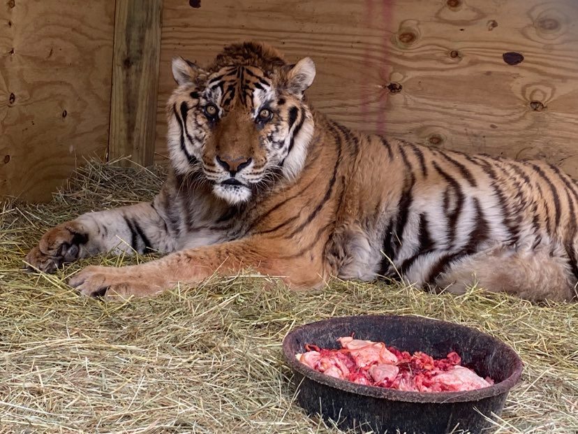 175955354_485558842487604_5899070002311025774_n